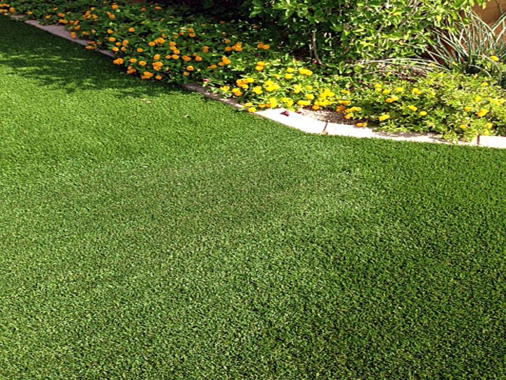 Faux Grass Saltillo, Tennessee Design Ideas, Landscaping Ideas For Front Yard