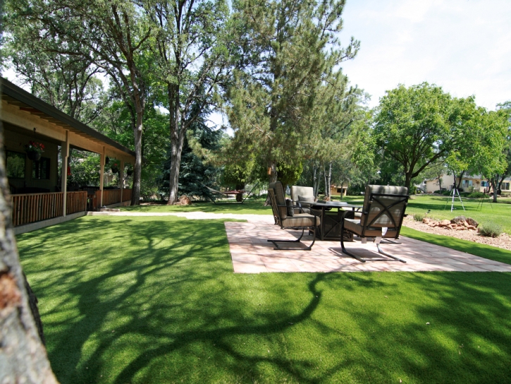 Faux Grass Stantonville, Tennessee Landscape Ideas, Backyard Landscaping