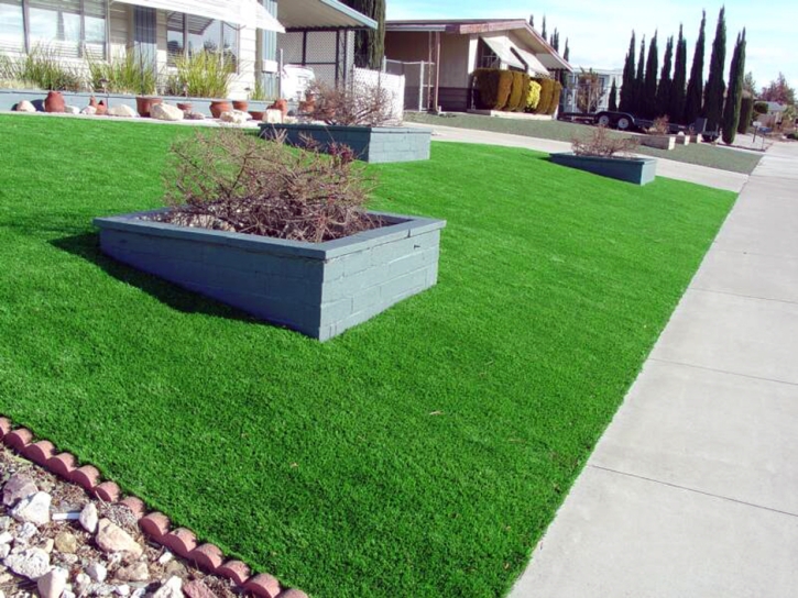 Grass Carpet Doyle, Tennessee Landscape Design, Front Yard Landscaping