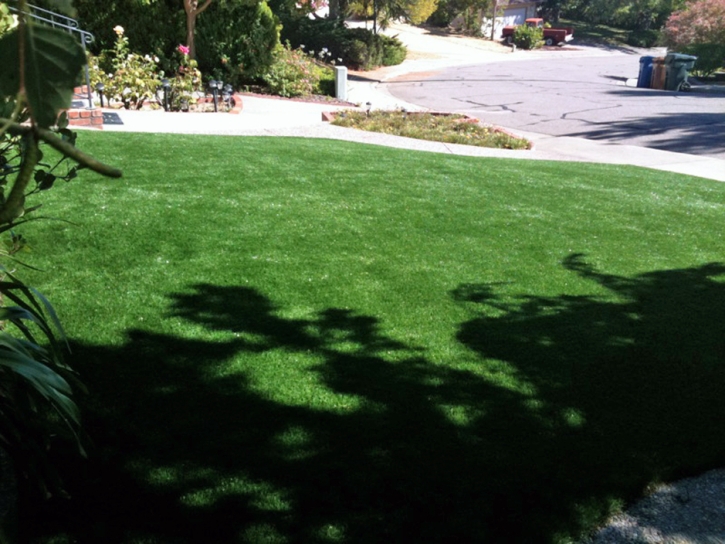 Grass Carpet Gibson, Tennessee Garden Ideas, Front Yard Ideas