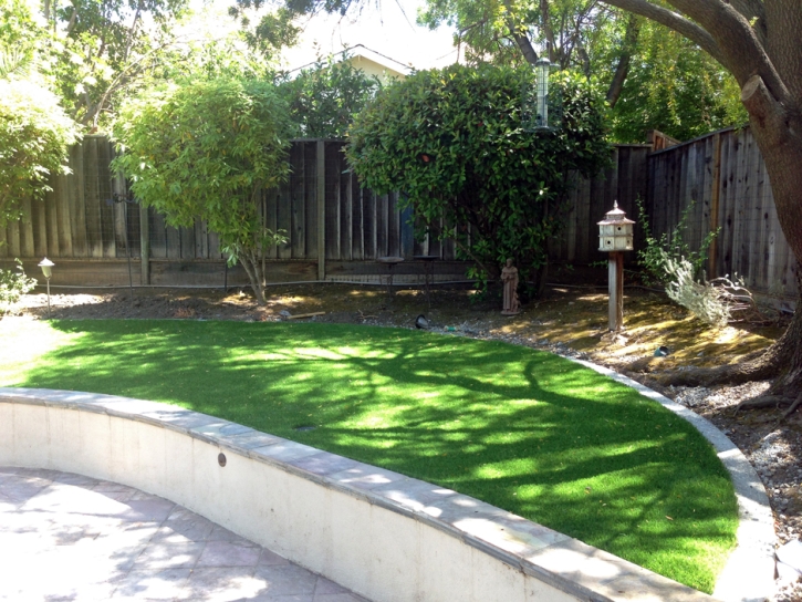 Grass Carpet Guys, Tennessee Home And Garden, Commercial Landscape