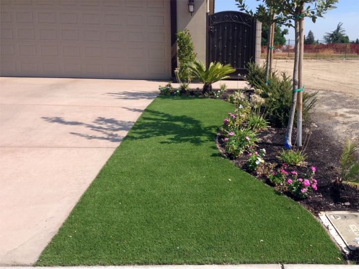 Grass Carpet Harrison, Tennessee Rooftop, Front Yard Design