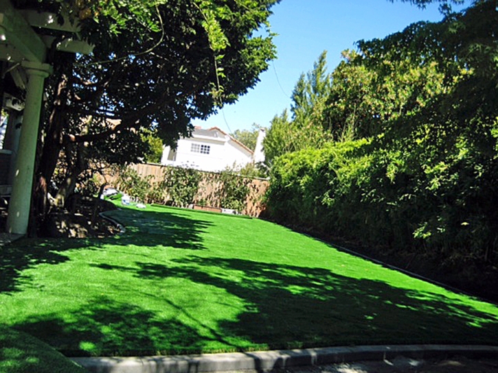 Grass Carpet Milan, Tennessee Landscape Photos, Backyard Ideas