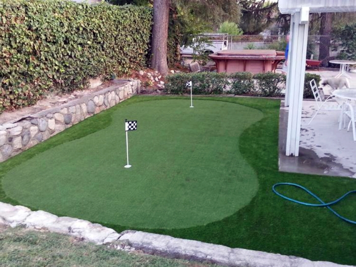 Grass Carpet Oakland, Tennessee Office Putting Green, Backyard Ideas