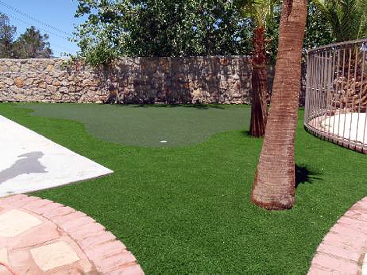 Grass Installation Fincastle, Tennessee Backyard Putting Green, Backyard Garden Ideas