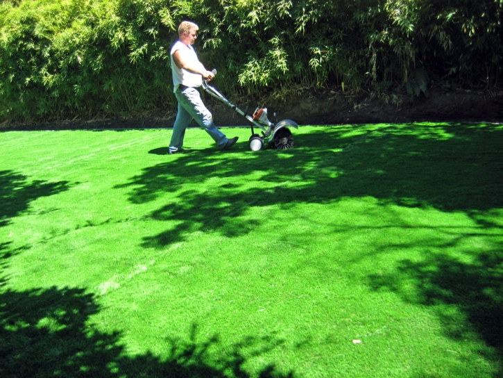 Grass Installation Jackson, Tennessee Lawn And Landscape, Backyard Landscaping