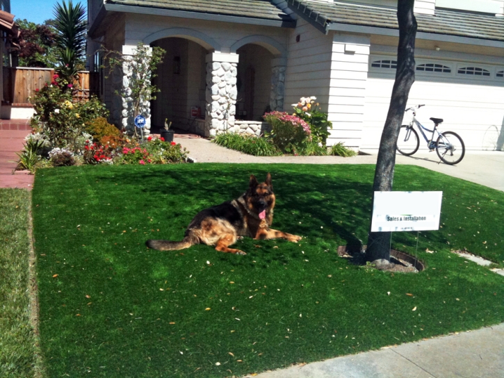 Grass Installation Silerton, Tennessee Home And Garden, Front Yard Design