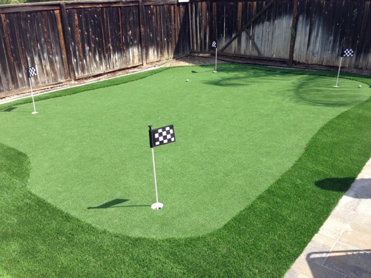 Grass Installation Tiptonville, Tennessee Putting Greens, Backyard Landscape Ideas