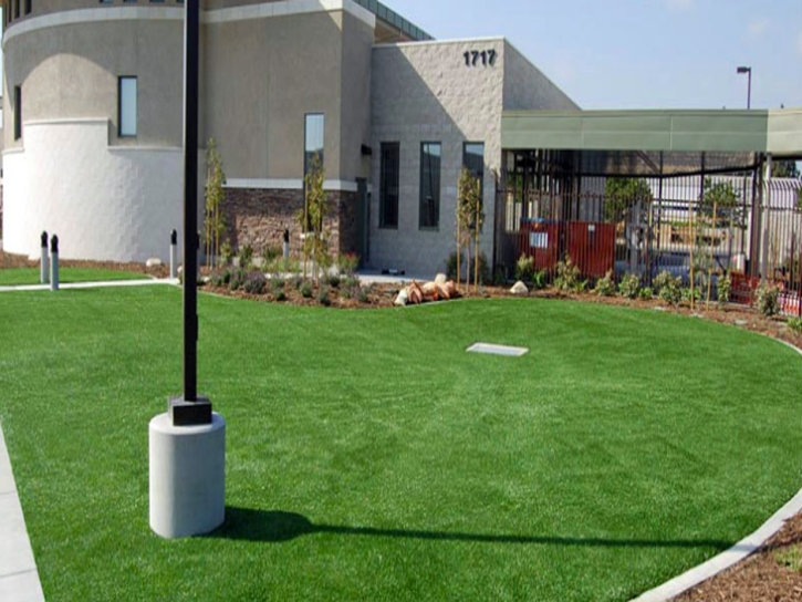 Grass Turf New Market, Tennessee Garden Ideas, Commercial Landscape