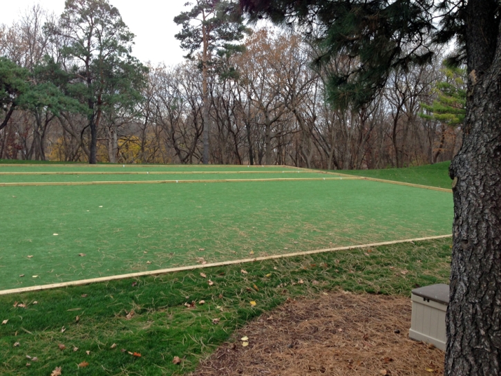 Grass Turf Parsons, Tennessee Backyard Soccer