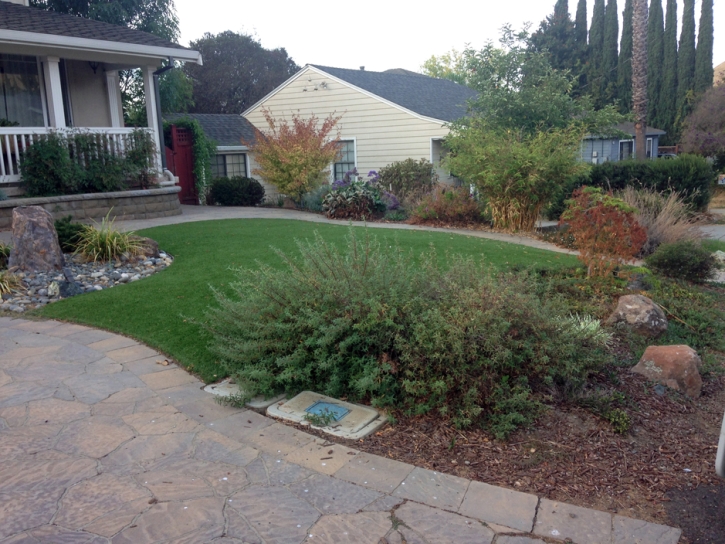 Grass Turf Sharon, Tennessee Rooftop, Front Yard Landscaping Ideas