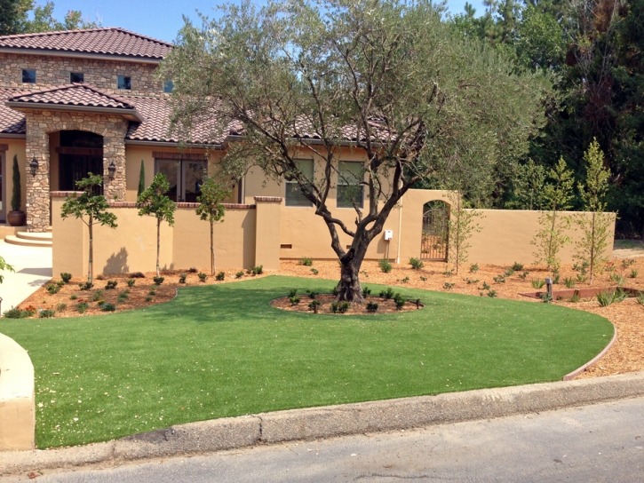 Grass Turf Spring Hill, Tennessee Roof Top, Small Front Yard Landscaping