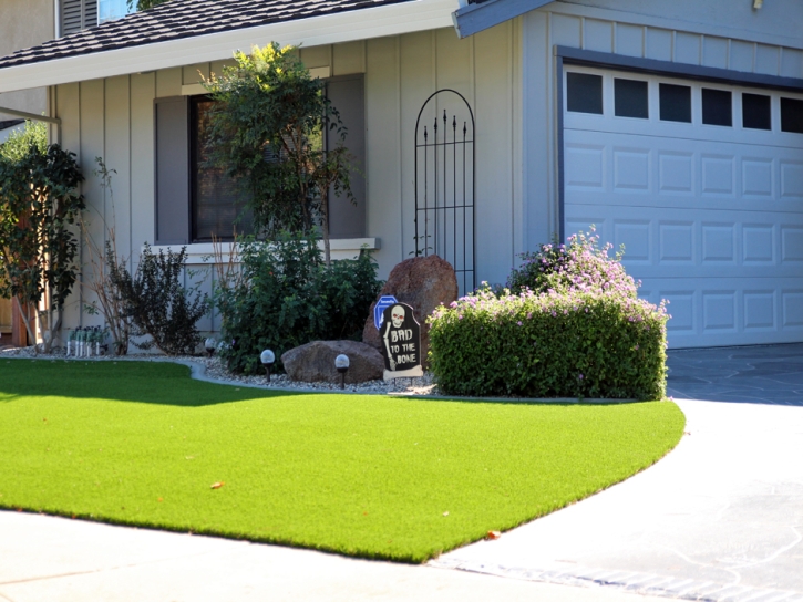 Grass Turf Spurgeon, Tennessee Roof Top, Front Yard Design