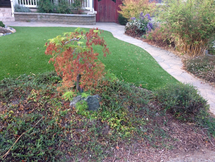 Green Lawn Camden, Tennessee Landscape Rock, Small Front Yard Landscaping