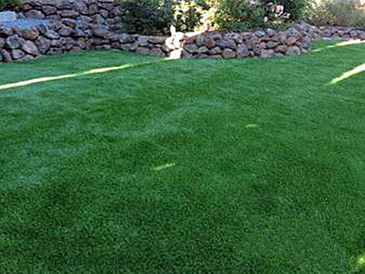 How To Install Artificial Grass Charleston, Tennessee Hotel For Dogs, Backyard Designs