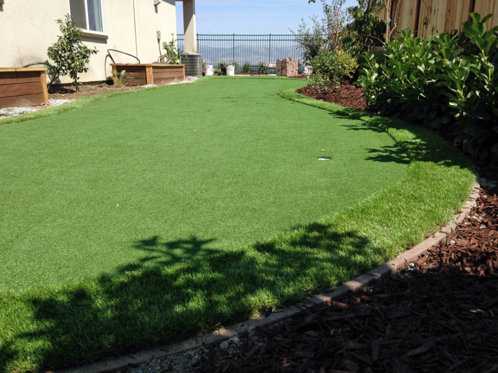 How To Install Artificial Grass Minor Hill, Tennessee Lawn And Garden, Small Backyard Ideas