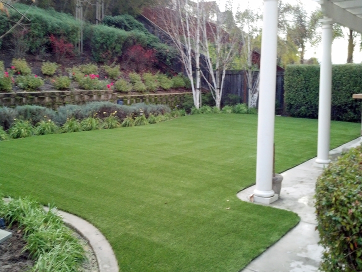 Lawn Services Lookout Mountain, Tennessee Cat Grass, Backyard