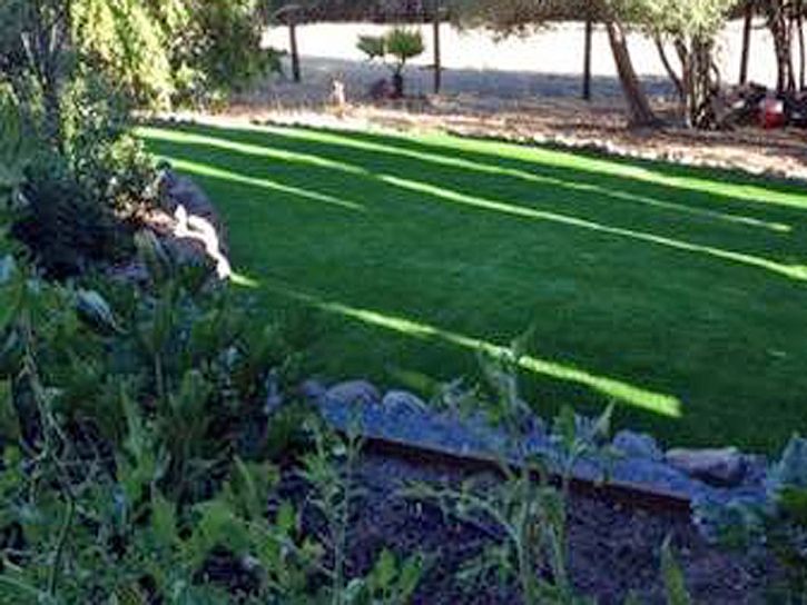 Lawn Services Petros, Tennessee Landscape Rock, Backyard Ideas