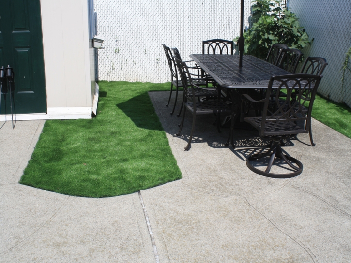 Outdoor Carpet Friendship, Tennessee Lawns, Backyard Ideas