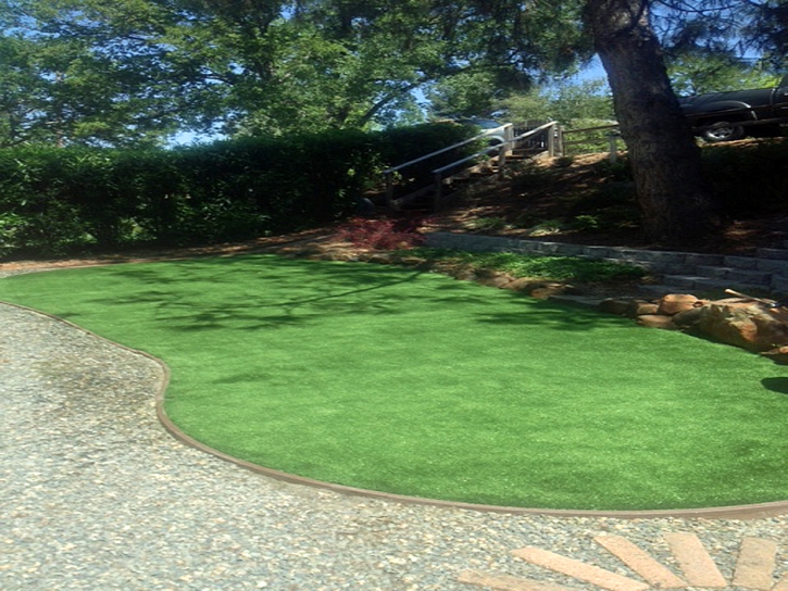 Outdoor Carpet Hollow Rock, Tennessee Landscaping, Beautiful Backyards