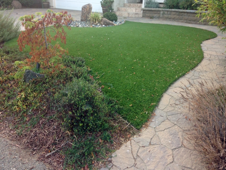 Outdoor Carpet Springfield, Tennessee Garden Ideas, Backyard Landscaping