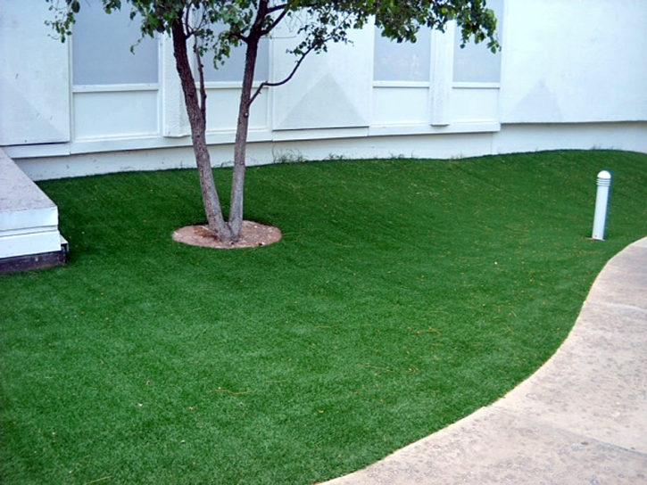 Outdoor Carpet Tiptonville, Tennessee Landscape Ideas, Commercial Landscape