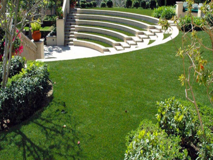 Outdoor Carpet Waverly, Tennessee Lawn And Landscape