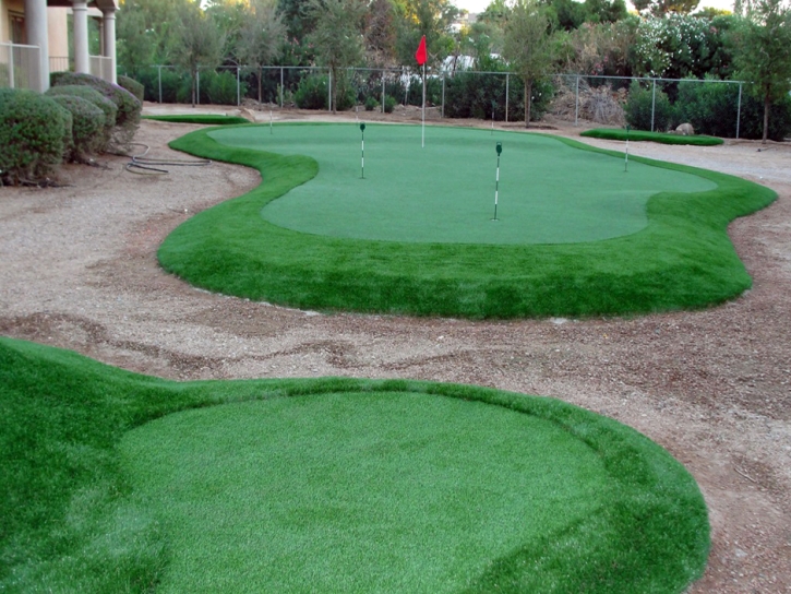 Plastic Grass Brownsville, Tennessee Putting Greens, Backyard Landscaping Ideas