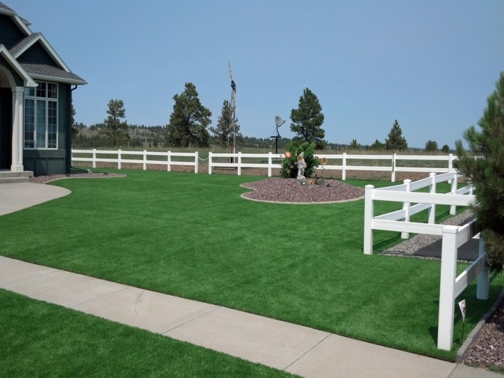 Plastic Grass Dayton, Tennessee Landscaping, Landscaping Ideas For Front Yard