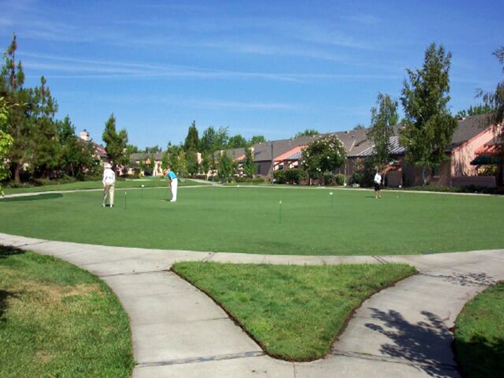 Plastic Grass Farragut, Tennessee Backyard Putting Green, Commercial Landscape