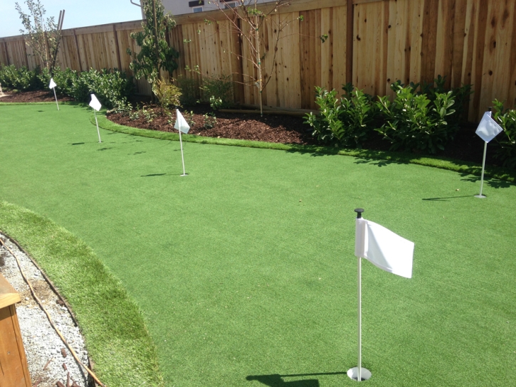 Plastic Grass Goodlettsville, Tennessee Artificial Putting Greens, Backyard Design