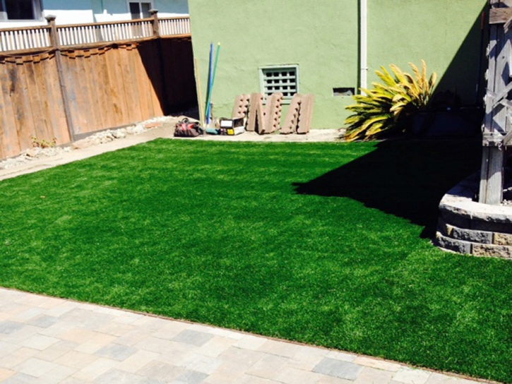 Plastic Grass Philadelphia, Tennessee Dogs, Backyard Ideas