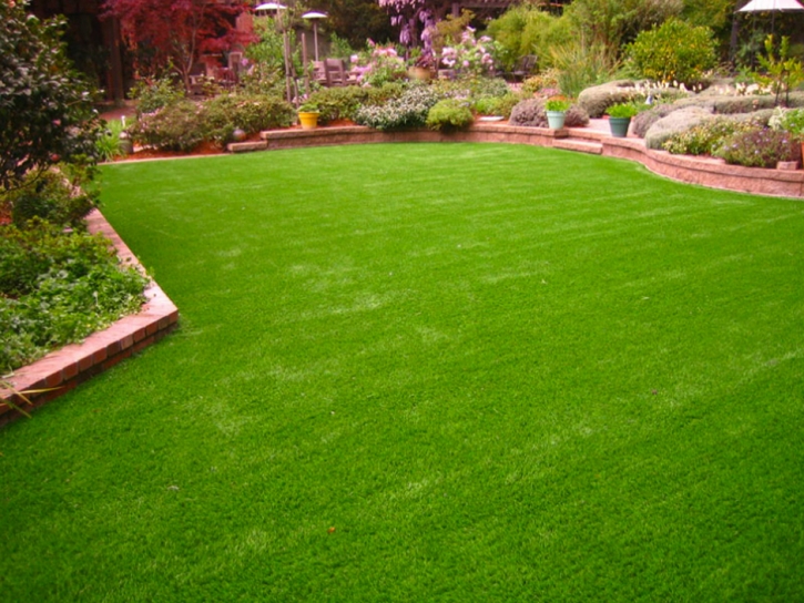 Plastic Grass Seymour, Tennessee Landscaping Business, Backyard Landscape Ideas