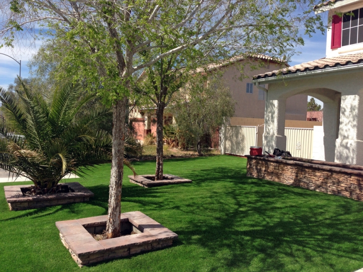 Synthetic Grass Altamont, Tennessee Backyard Playground, Front Yard Landscaping Ideas