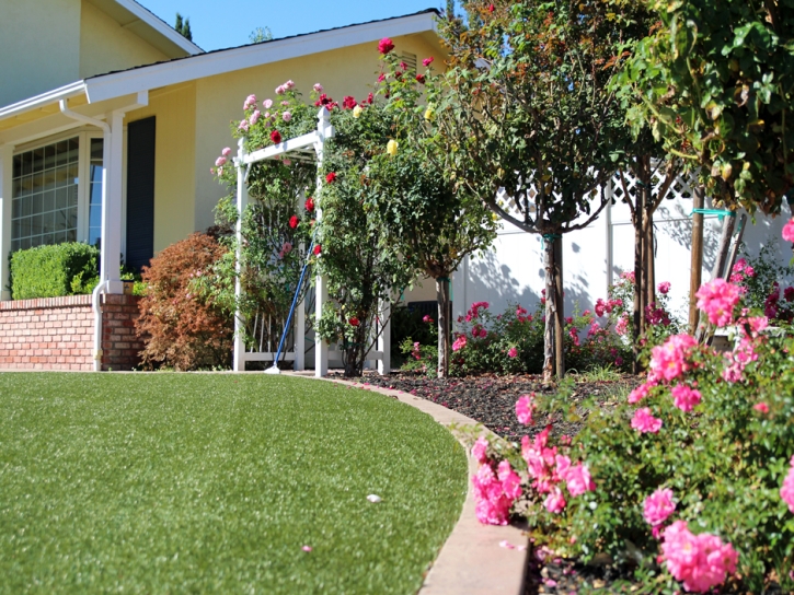 Synthetic Grass Baileyton, Tennessee Backyard Deck Ideas, Landscaping Ideas For Front Yard