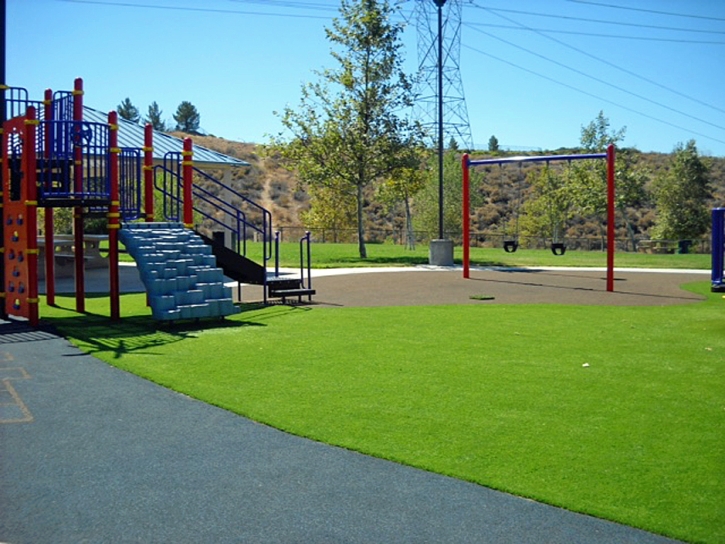 Synthetic Grass Burns, Tennessee Landscape Photos, Recreational Areas