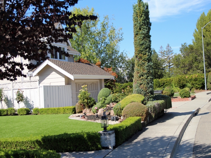 Synthetic Grass Clarkrange, Tennessee Backyard Playground, Small Front Yard Landscaping