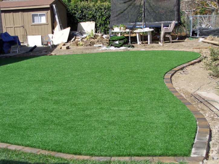 Synthetic Grass Cost Estill Springs, Tennessee Rooftop, Backyard Ideas