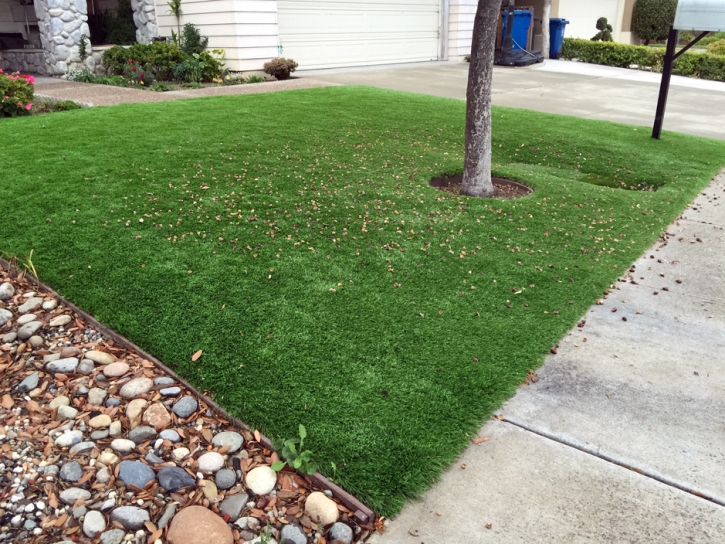 Synthetic Grass Cost Graball, Tennessee Landscaping, Front Yard Design