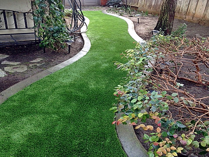 Synthetic Grass Cost Harrison, Tennessee Landscape Photos, Backyard Ideas