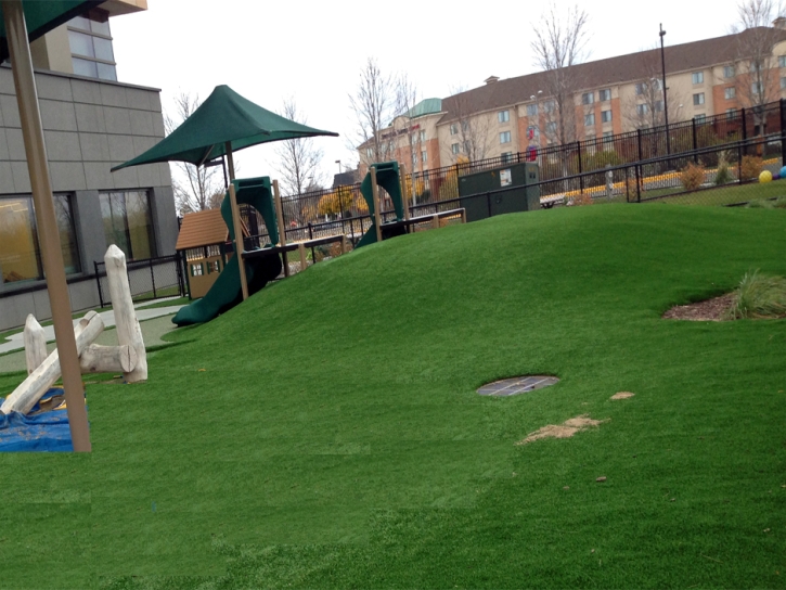 Synthetic Grass Parker Crossroads, Tennessee Roof Top, Commercial Landscape