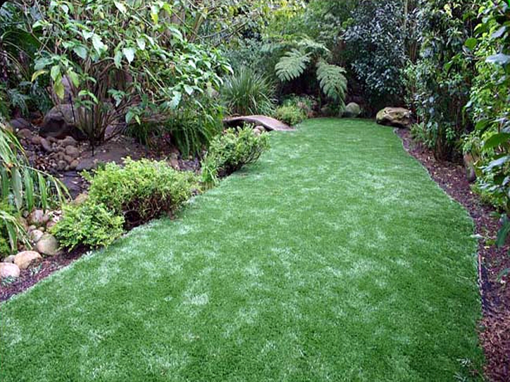 Synthetic Grass Wildwood, Tennessee Backyard Playground, Backyard Ideas