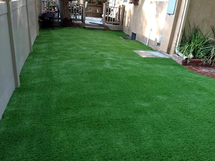 Synthetic Lawn Coopertown, Tennessee Roof Top, Backyard Landscape Ideas