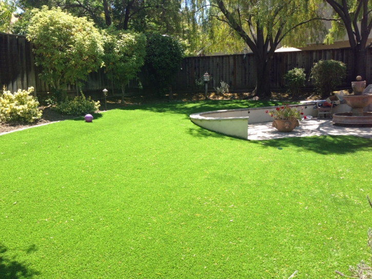 Synthetic Lawn Dresden, Tennessee Gardeners, Backyards