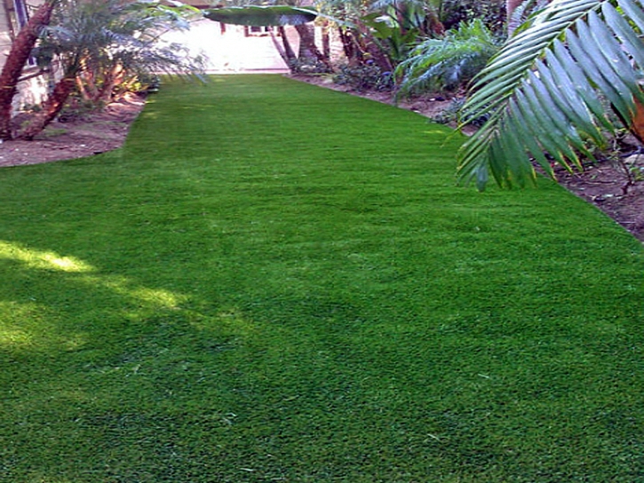 Synthetic Lawn Huntland, Tennessee Landscape Rock, Backyard Design