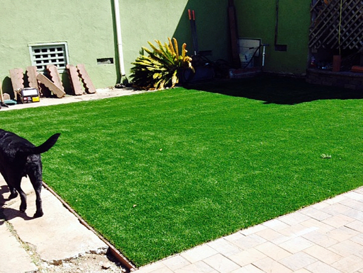 Synthetic Lawn Jellico, Tennessee Landscape Ideas, Backyard Designs