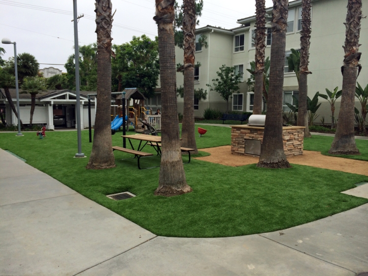 Synthetic Lawn Sardis, Tennessee Rooftop, Commercial Landscape