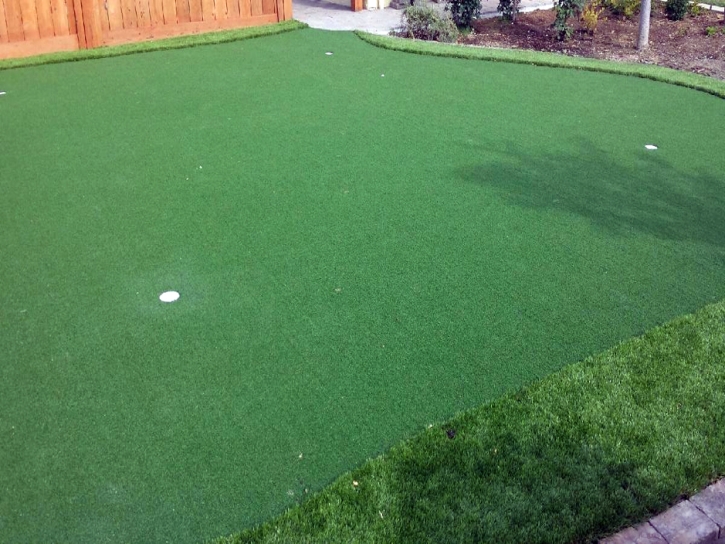 Synthetic Turf Adamsville, Tennessee Garden Ideas