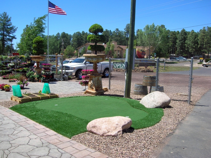 Synthetic Turf Bethpage, Tennessee Office Putting Green, Commercial Landscape