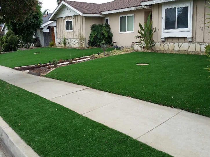 Synthetic Turf Dandridge, Tennessee Rooftop, Front Yard Design